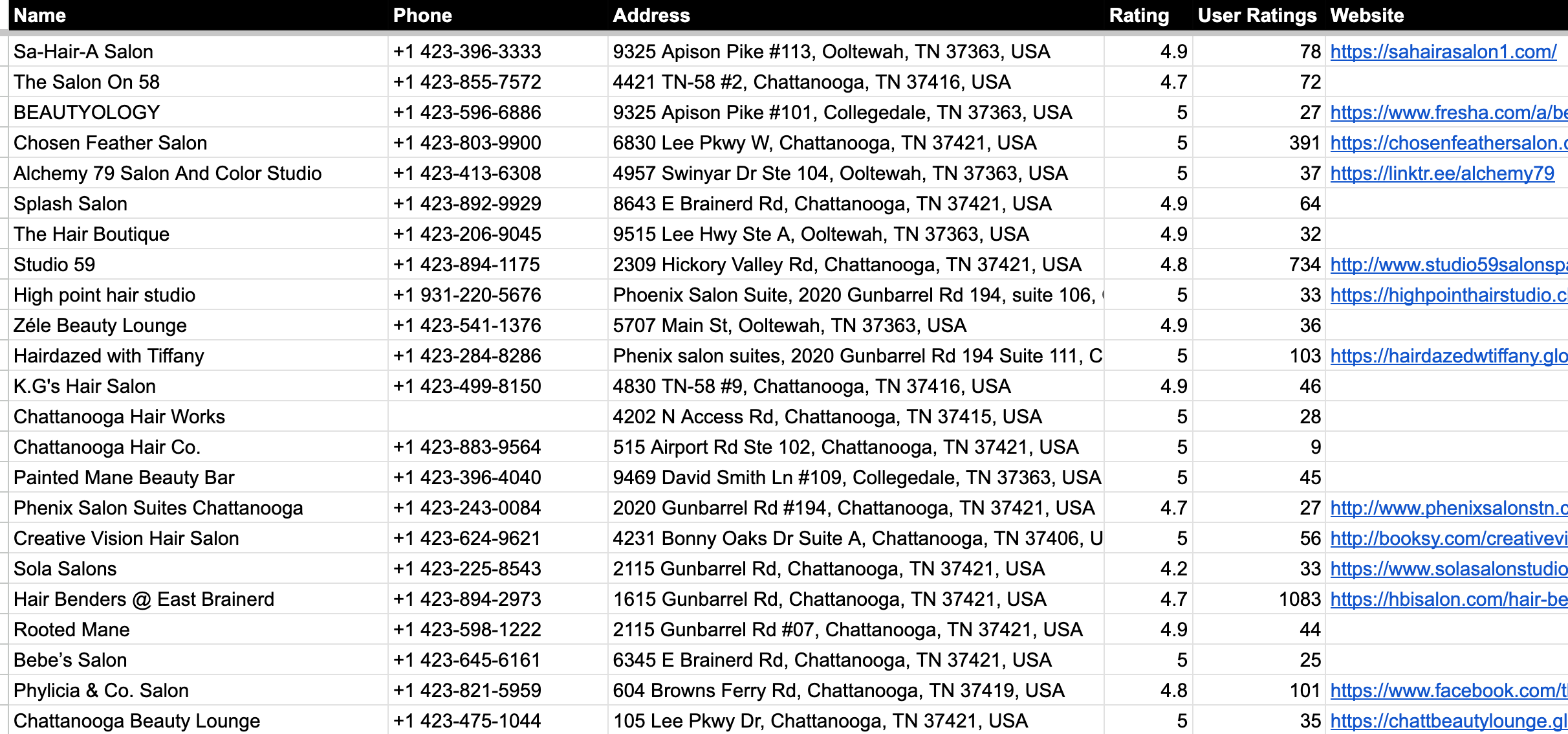The results tab with salon names, phones, addresses, ratings, reviews and websites